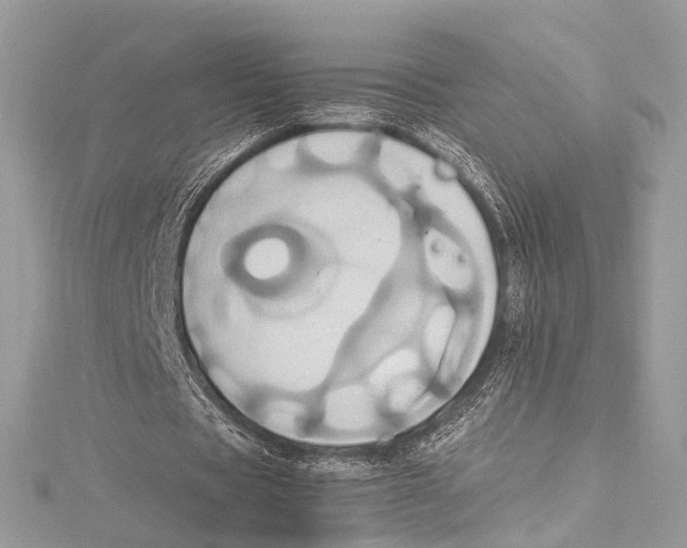 X0000115560529200912041055