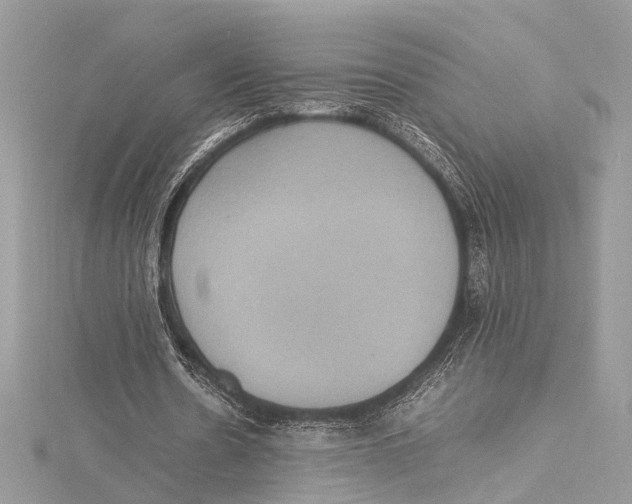 X0000115560530200912041055