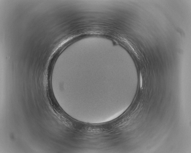 X0000115560531200912041055