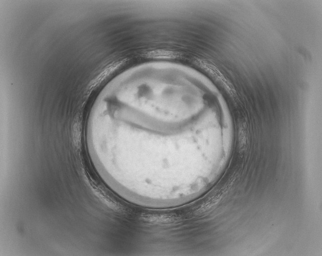 X0000115560533200912041055