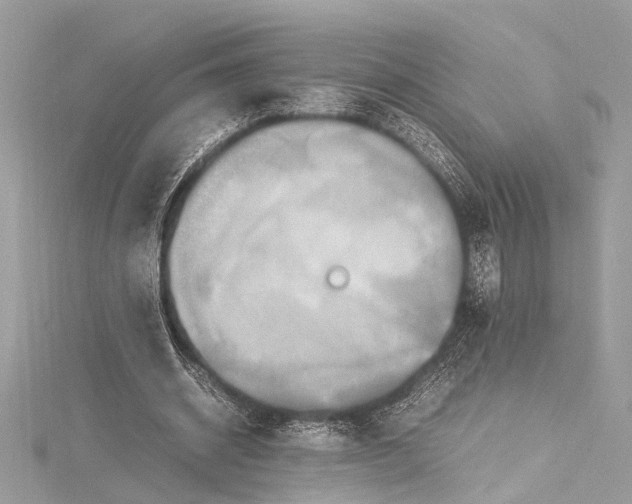 X0000115560534200912041055