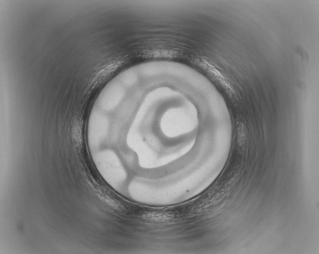 X0000115560537200912041055