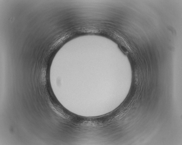 X0000115560538200912041055