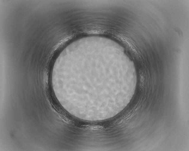 X0000115560539200912041055