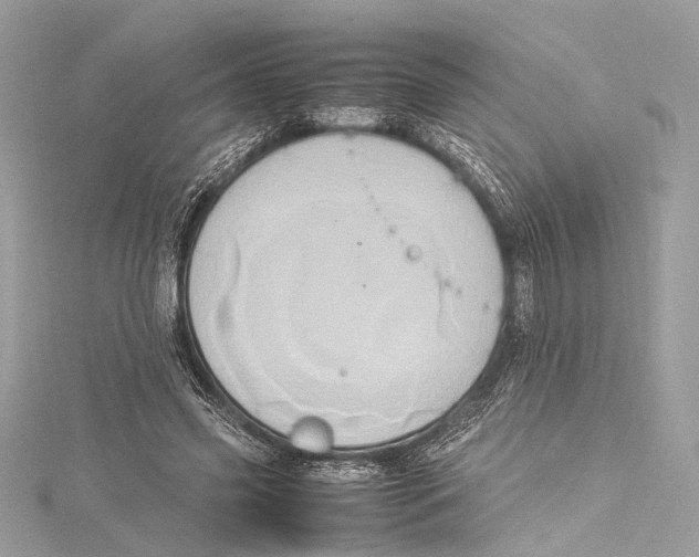 X0000115560541200912041055