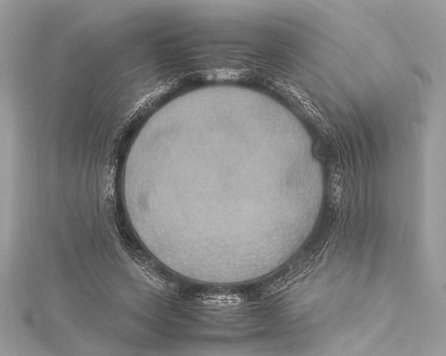 X0000115560543200912041055