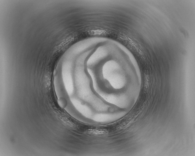 X0000115560545200912041055