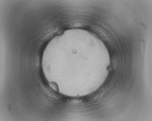 X0000115560546200912041055