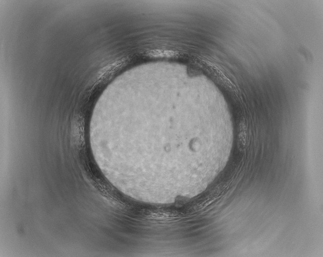 X0000115560547200912041055