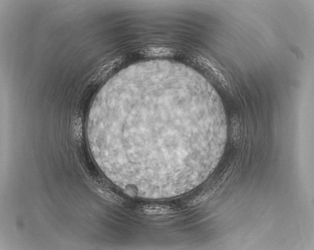 X0000115560549200912041055