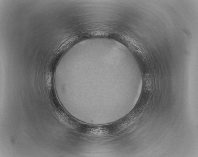 X0000115560550200912041055