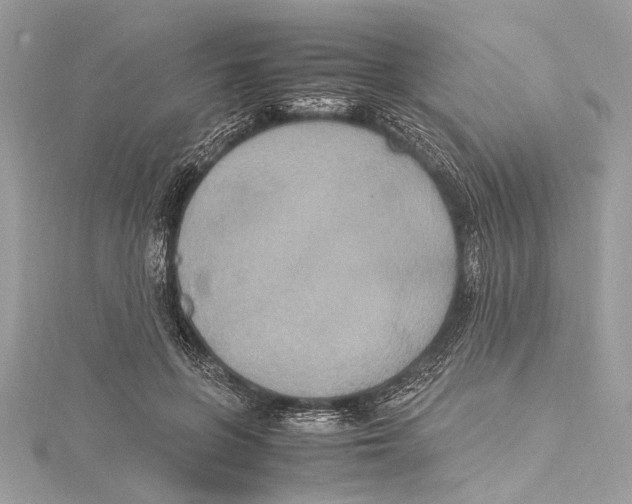 X0000115560551200912041055