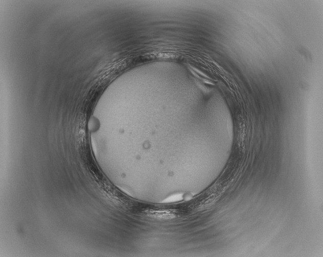 X0000115560553200912041055