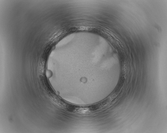 X0000115560554200912041055