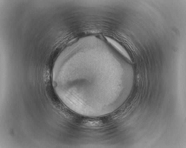 X0000115560555200912041055