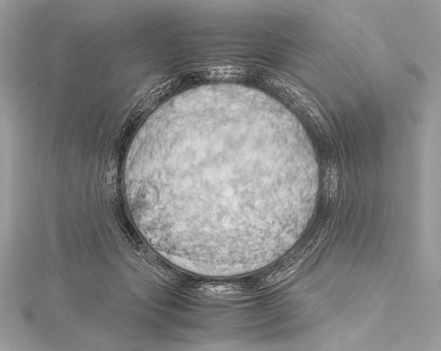 X0000115560557200912041055