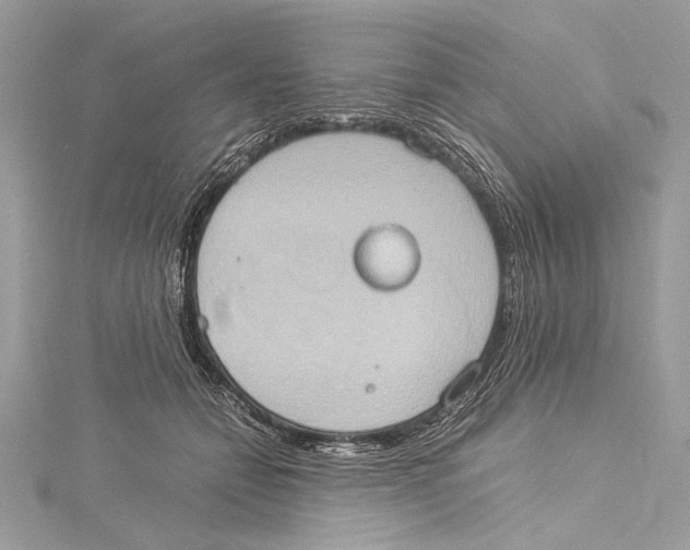 X0000115560558200912041055