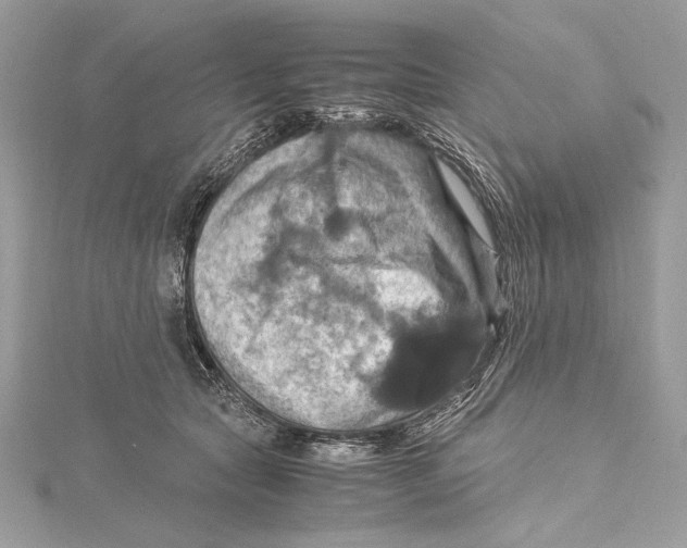 X0000115560561200912041055