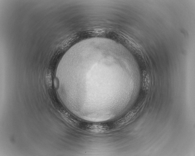 X0000115560562200912041055