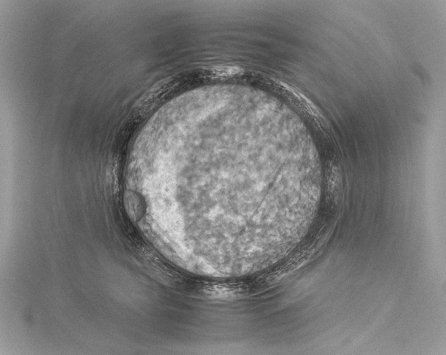 X0000115560565200912041055