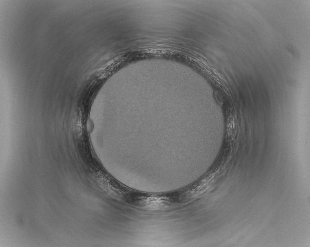 X0000115560566200912041055