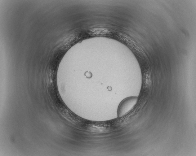 X0000115560567200912041055