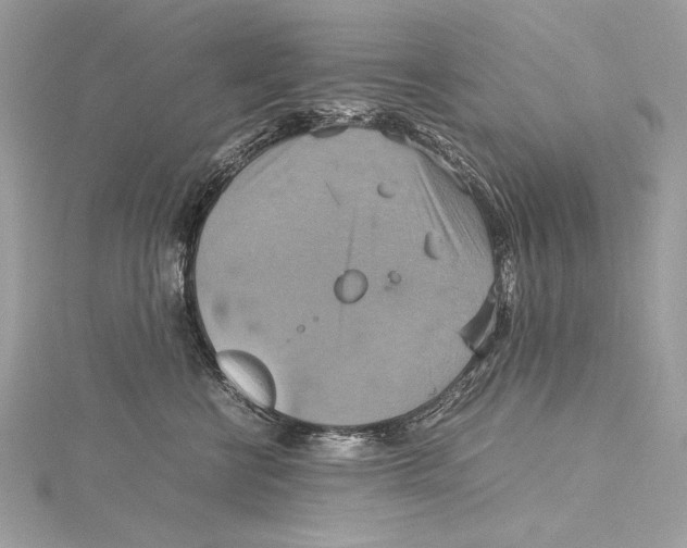 X0000115560570200912041055