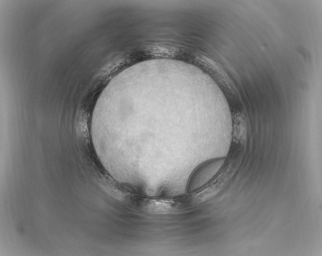 X0000115560573200912041056