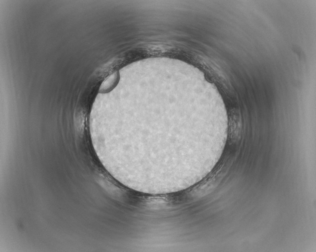 X0000115560574200912041056