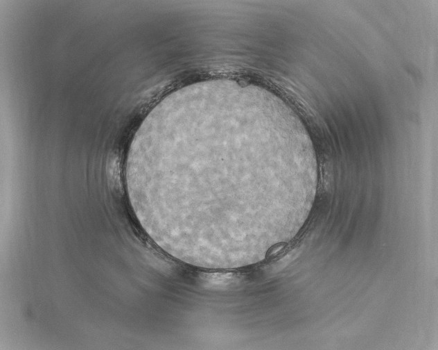 X0000115560575200912041056