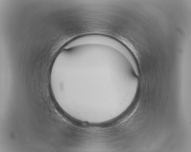 X0000115560577200912041055