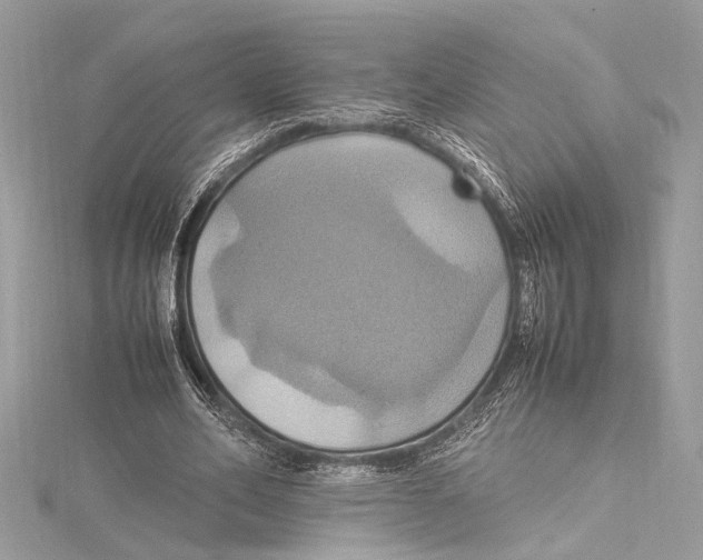 X0000115560582200912041055