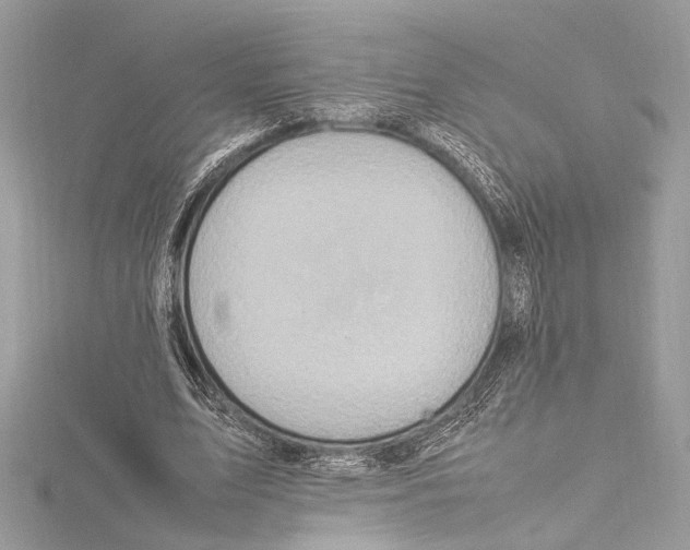 X0000115560583200912041055