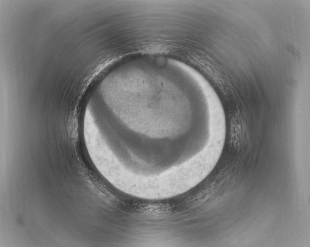 X0000115560584200912041055