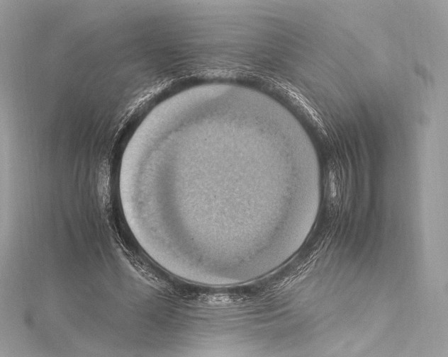 X0000115560588200912041055