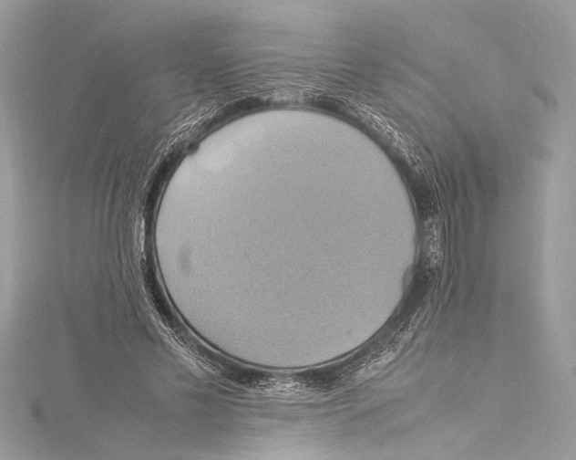 X0000115560589200912041055