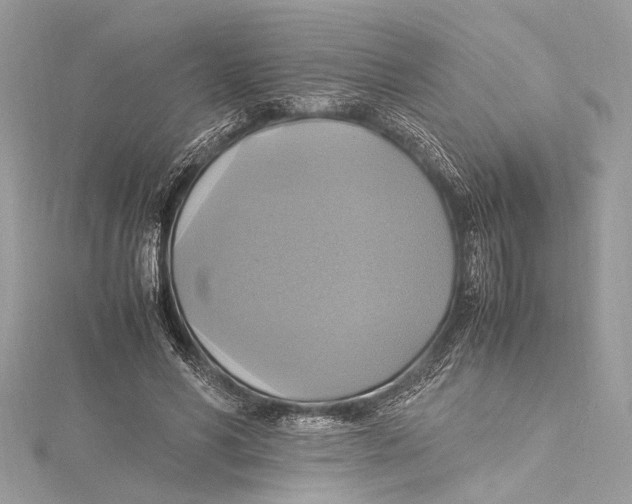 X0000115560590200912041055