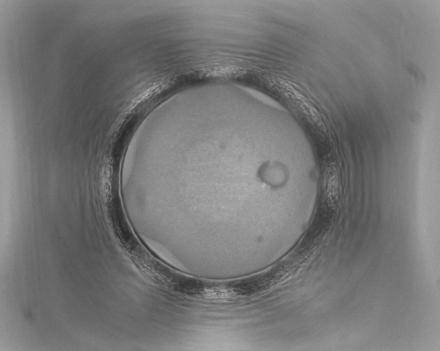 X0000115560591200912041055