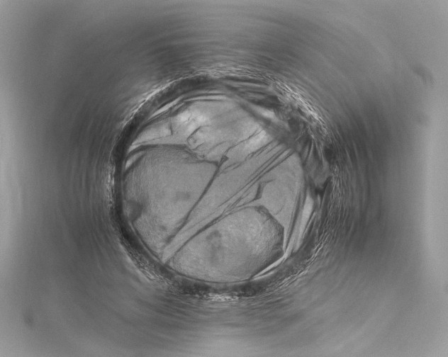 X0000115560592200912041055