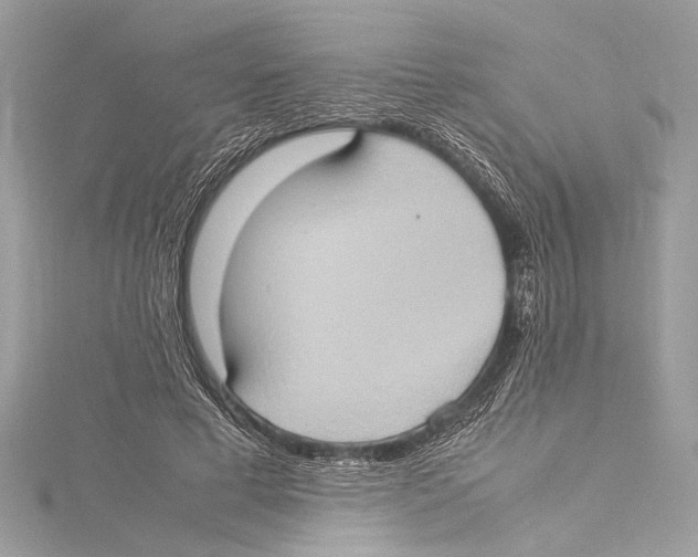 X0000115560593200912041055