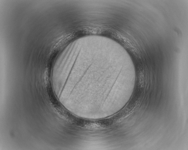 X0000115560594200912041055