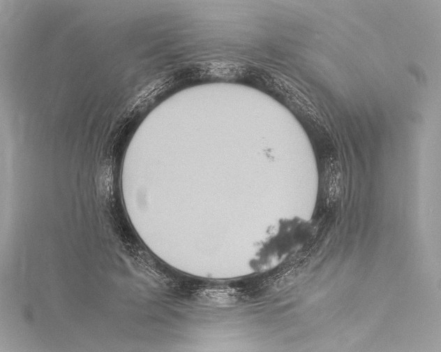 X0000115560595200912041055