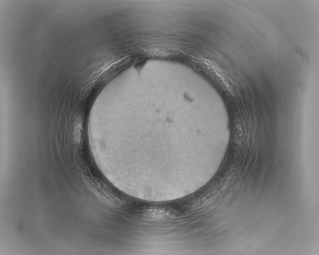 X0000115560596200912041055