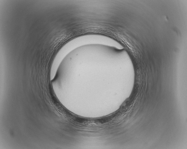 X0000115560597200912041055