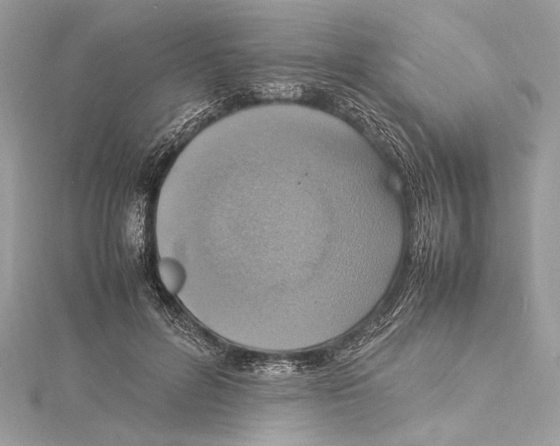 X0000115560600200912041055