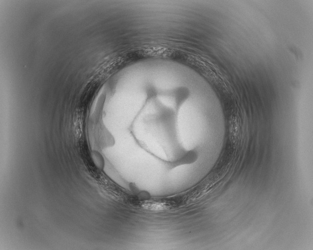 X0000115560602200912041055