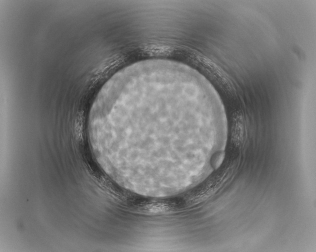 X0000115560604200912041055