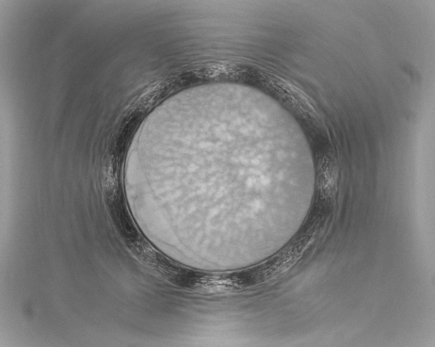 X0000115560607200912041055