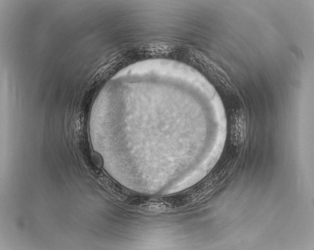 X0000115560608200912041055