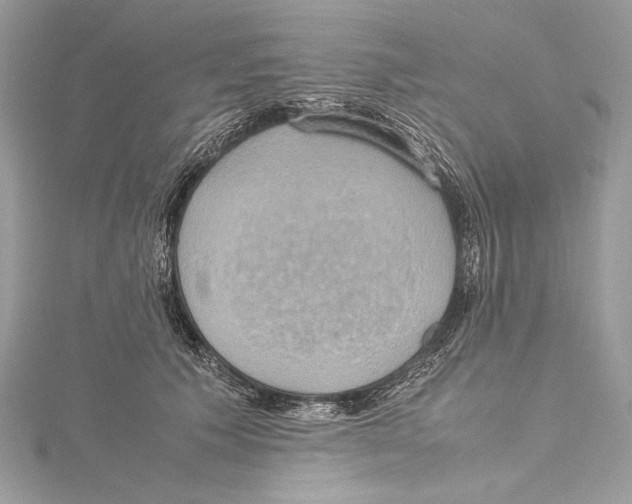 X0000115560609200912041055